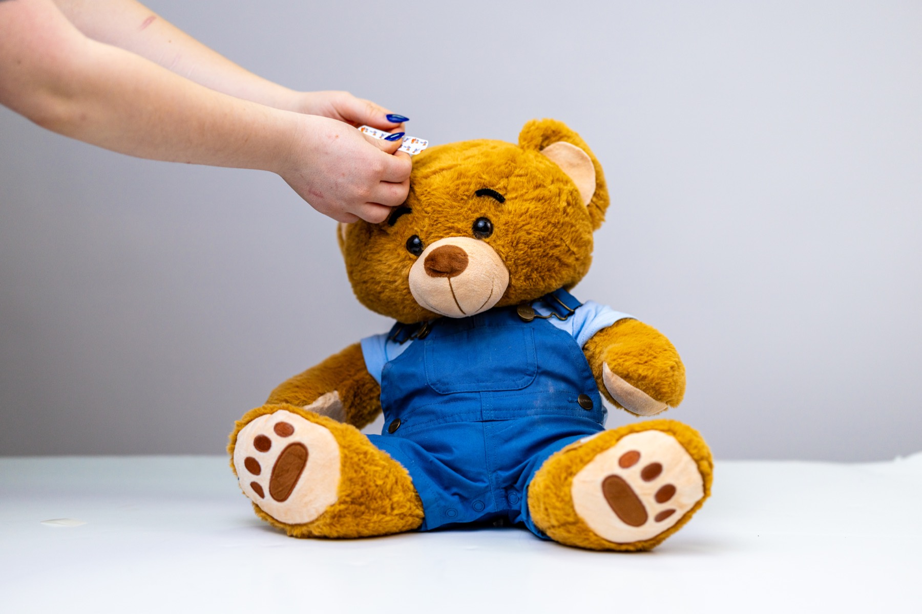 Phil Better Bear with Let's Go bandages